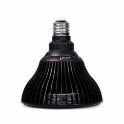Ampoule MITO LIGHT® 5.0 – Image 6