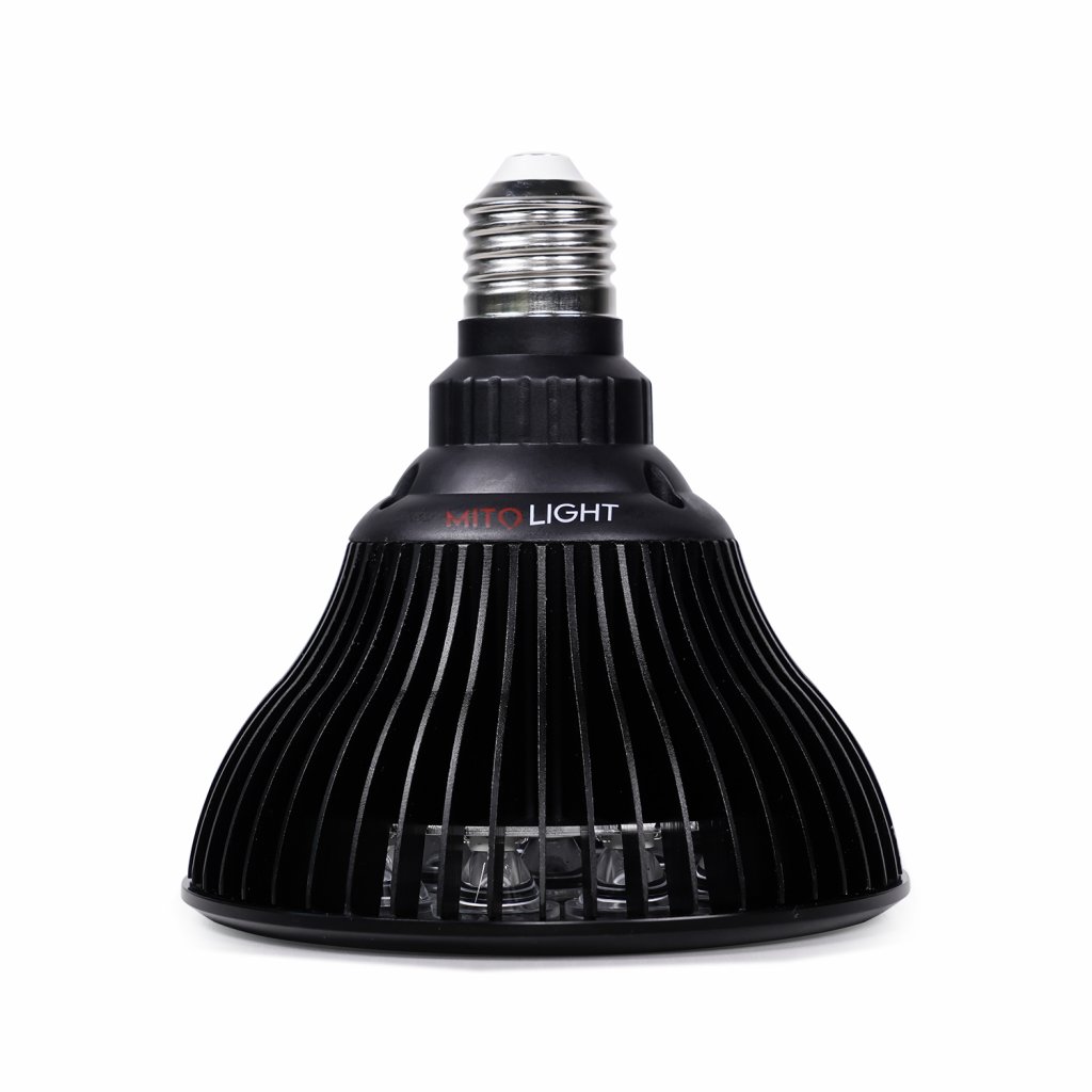 Ampoule MITO LIGHT® 5.0 – Image 6
