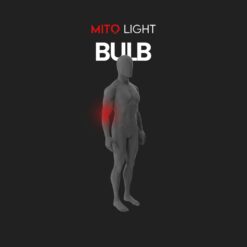 Ampoule MITO LIGHT® 5.0 – Image 3